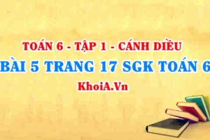 Bài 5 trang 17 SGK Toán 6 tập 1 Cánh Diều
